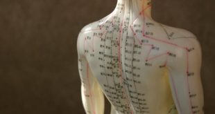 Mengenal Titik Akupunktur