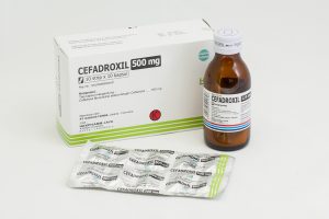 Cefadroxil