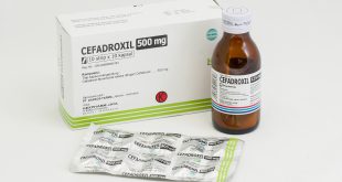 Cefadroxil