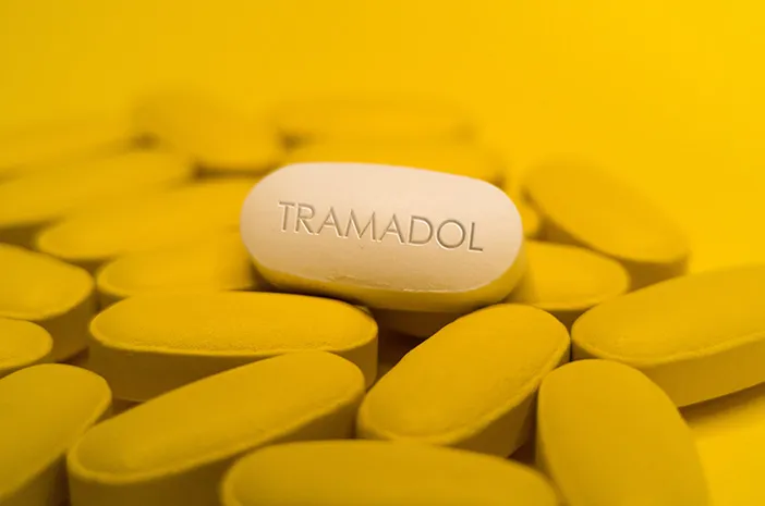 Fakta Obat Tramadol