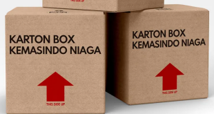 Karton Box