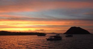Komodo Island Tour from Lombok