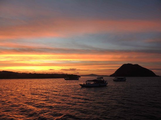 Komodo Island Tour from Lombok