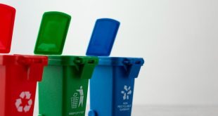 Tips Pengelolaan Sampah Rumah Tangga yang Efektif dan Efisien